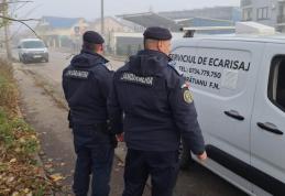 Botoșăneancă amendată după ce a lăsat în libertate pe spațiul public, un câine agresiv
