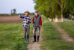 Se primesc bani de la stat. Cererile se pot depune până pe 30 noiembrie. Cine are dreptul la plățile finale