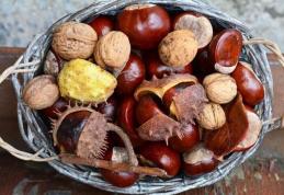 Castanele, leac pentru hemoroizi