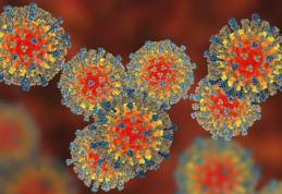 Virusul rujeolic sterge „memoria” sistemului imunitar. Iată cât de grav este