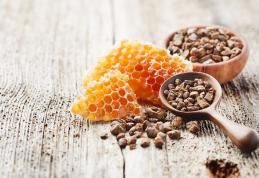 Tinctura de propolis: 10 beneficii pentru sănătate, dovedite științific