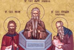 SINAXAR – 26 Noiembrie – Sf. Cuv. Alipie Stâlpnicul, Nicon şi Stelian Paflagonul