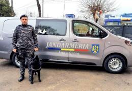 CIHA, O CĂȚELUȘĂ DE NOTA 10