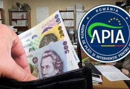 APIA Botoșani – Plățile în avans pentru Campania 2025