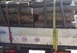 Sancțiune de 4.000 de lei și material lemnos confiscat în urma unui control în trafic 