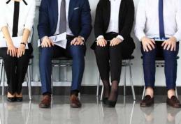 Locuri de muncă vacante la nivelul județului Botoșani la data de 2 decembrie 2025