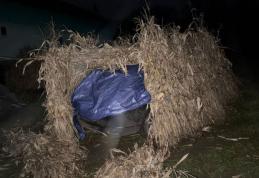 Tânăr reținut după ce s-a urcat băut la volan și a lovit mortal un bărbat, apoi a fugit de la locul accidentului