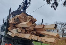5 metri cubi de material lemnos de polițiștii dorohoieni
