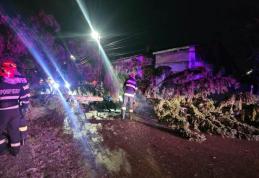Copaci doborâți de vânt în tot județul! Pompierii au intervenit
