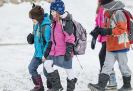 Elevii revin la ore joi, 8 ianuarie 2026. Când vor avea următoarea vacanță. Calendarul anului școlar 2025-2026