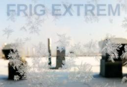 COD GALBEN de temperaturi minime deosebit de scăzute și ger pentru județul Botoșani