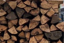 Material lemnos confiscat de polițiști pe bulevardul Victoriei din Dorohoi