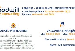 Goodwill Dorohoi: PRNE 1.3A – Sprijin pentru microîntreprinderi 2026: Oportunitate pentru Regiunea Nord-Est