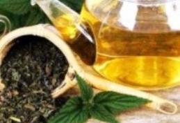 Plante care combat astenia de primăvară