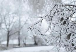 Cod Galben de ger pentru județul Botoșani