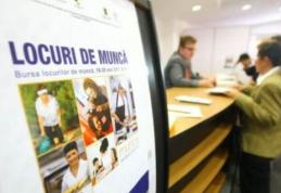 Locurile de muncă vacante la nivelul județului Botoșani - 09.02.2026