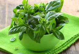 Planta minune care scade colesterolul