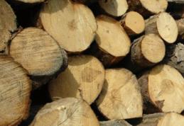 Sancțiune de 6.000 de lei și material lemnos confiscat
