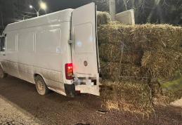 Material lemnos confiscat de polițiștii din Botoșani