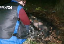 Botoșănean condamnat la 3 ani și două luni de închisoare pentru uciderea animalelor