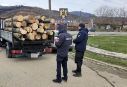 Patru metri cubi de material lemnos confiscat de polițiști