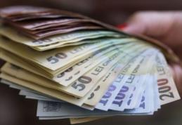 Peste 1000 de decizii pentru recuperarea unor sume încasate necuvenit emise de AJPIS Botoșani