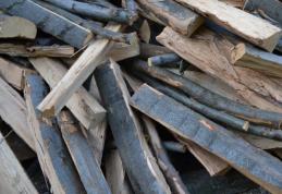 Material lemnos confiscat de polițiști la Șendriceni și Dorohoi