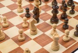 Elev al Școlii Gimnaziale „Mihail Kogălniceanu” Dorohoi calificat la etapa națională ONSS, șah