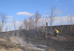 Pompierii botoșăneni au intervenit pentru stingerea a patru incendii de vegetație uscată, produse în ultimele 24 de ore