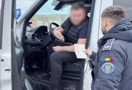 Permis de conducere fals primit de la angajator