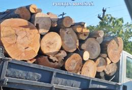 Sancționat cu amendă în valoare de 1.000 de lei pentru o abatere la regimul silvic