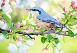 Horoscopul săptămânii 23 – 29 martie: Blocajele încep să dispară pentru toate zodiile