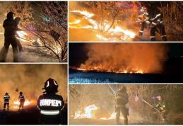 Intervenție a pompierilor pentru stingerea unui incendiu de vegetație uscată izbucnit pe aproximativ un hectar