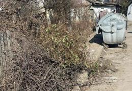 INFORMARE privind colectarea deseurilor vegetale de la persoanele fizice