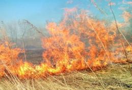 Măsuri privind prevenirea incendiilor de vegetație uscată din cauza curățării terenurilor de pe teritoriul municipiului Dorohoi