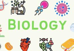 Olimpiada de Biologie: Două Premii I și calificare la etapa națională pentru Gimnaziul Kogălniceanu Dorohoi