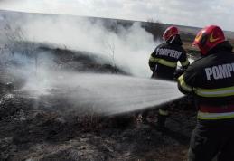 Incendii de vegetație în județ. Focul a distrus terenuri și culturi