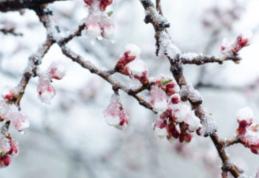 Avertizare meteo de ploi, ninsori și vânt puternic în toată țara. Prognoza meteo ANM actualizată
