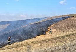 Pompierii au acționat, în ultimele ore, pentru stingerea a cinci incendii de vegetație uscată