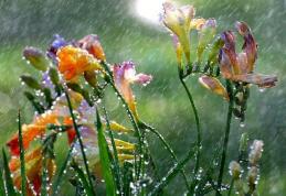 Un nou ciclon aduce de joi ploi, vânt, lapoviță și ninsori la munte. Cum va fi vremea de Florii și Paște