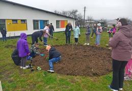 Două proiecte din Săptămâna Verde – FOTO