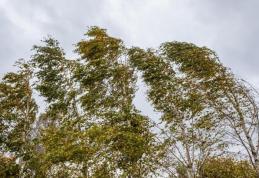 Astăzi și mâine, vânt puternic pentru județul Botoșani