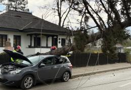 Vântul a doborât un copac și doi stâlpi de electricitate în Botoșani. Un autoturism a fost avariat - FOTO