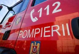 Două case salvate de pompierii botoșăneni