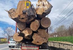 Peste 30 de metri cubi de material lemnos și o autoutilitară confiscate de polițiștii Secției nr. 1 