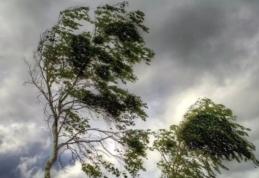 Cod Galben de vânt puternic, sâmbătă, pentru județul Botoșani