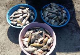 Peste 160 kg de pește ridicat de polițiști