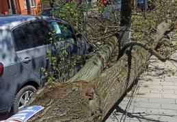 Intervenții în lanț ale pompierilor, după codul portocaliu de vânt în Botoșani