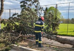 Intervenții ale pompierilor în urma Codului Portocaliu de vânt