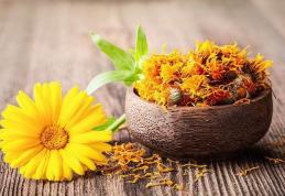 Beneficiile extraordinare din extractul natural de gălbenele